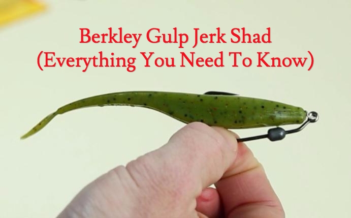 berkley gulp jerk shad review