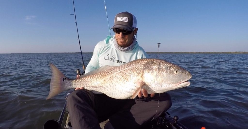 cut bait for bull redfish