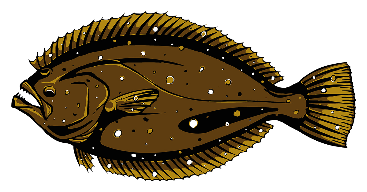 flounder fishing tips