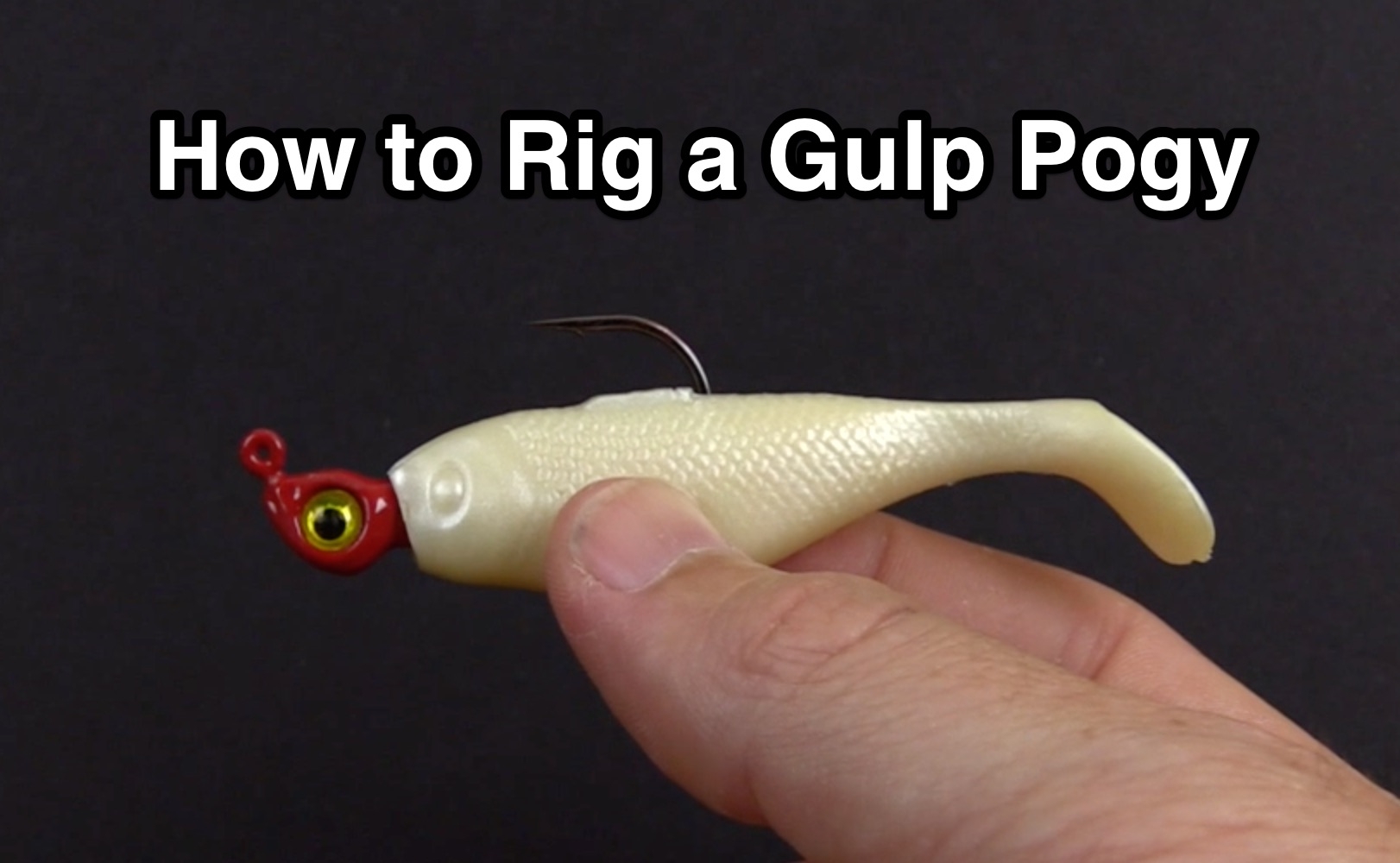 gulp pogy rig