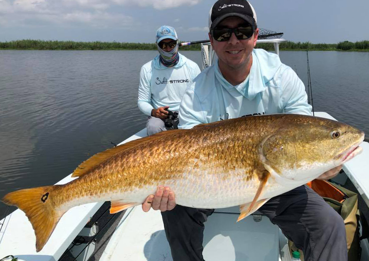 Louisiana Bull Redfish