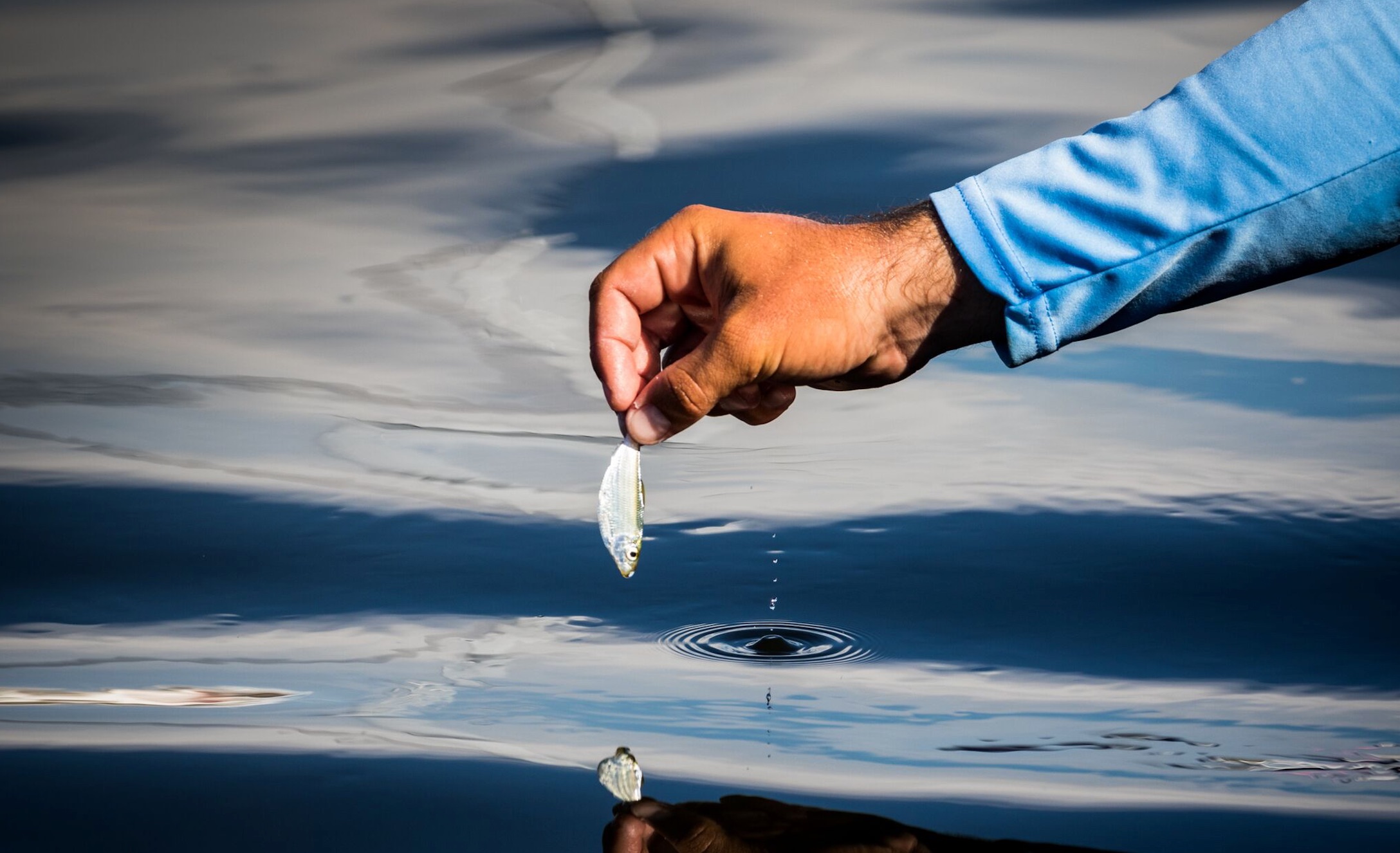 live bait vs artificial lures