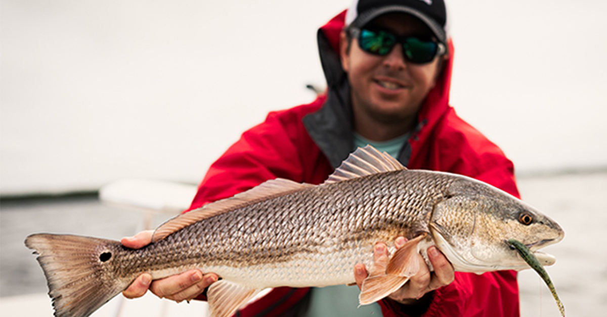 http://luke%20simonds%20redfish