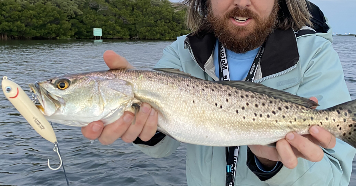 http://spring%20topwater%20trout