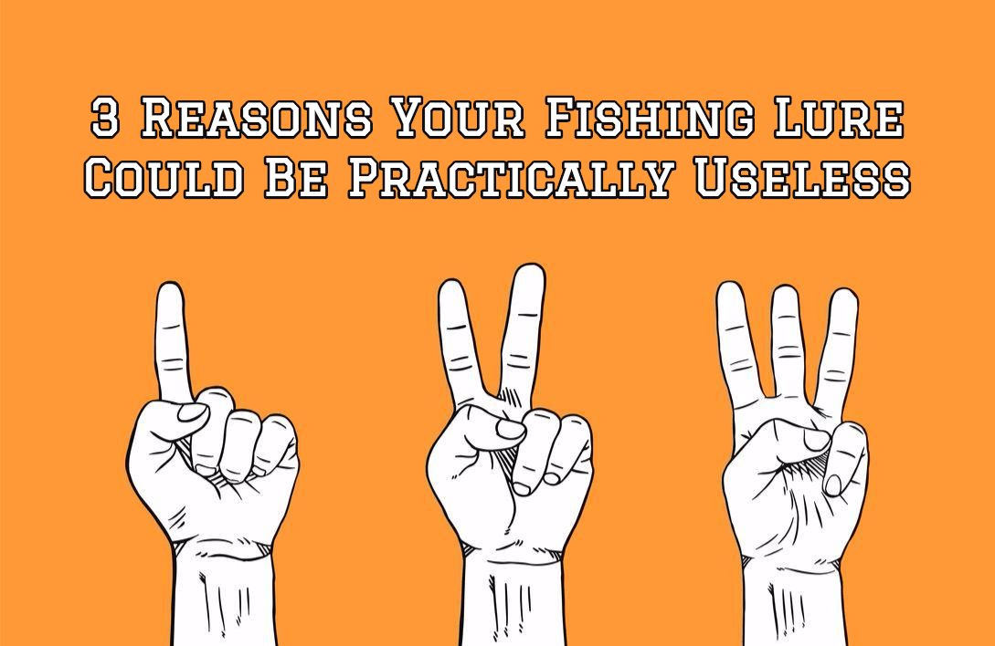 inshore fishing spots