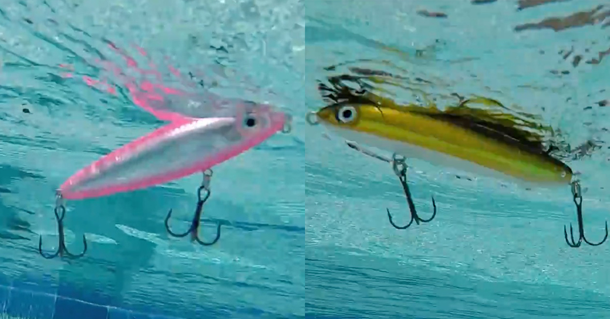 rapala skitter walk vs rapala skitter v