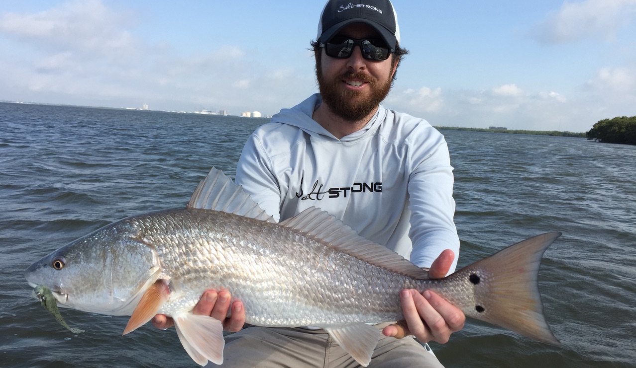 redfish on green gulp