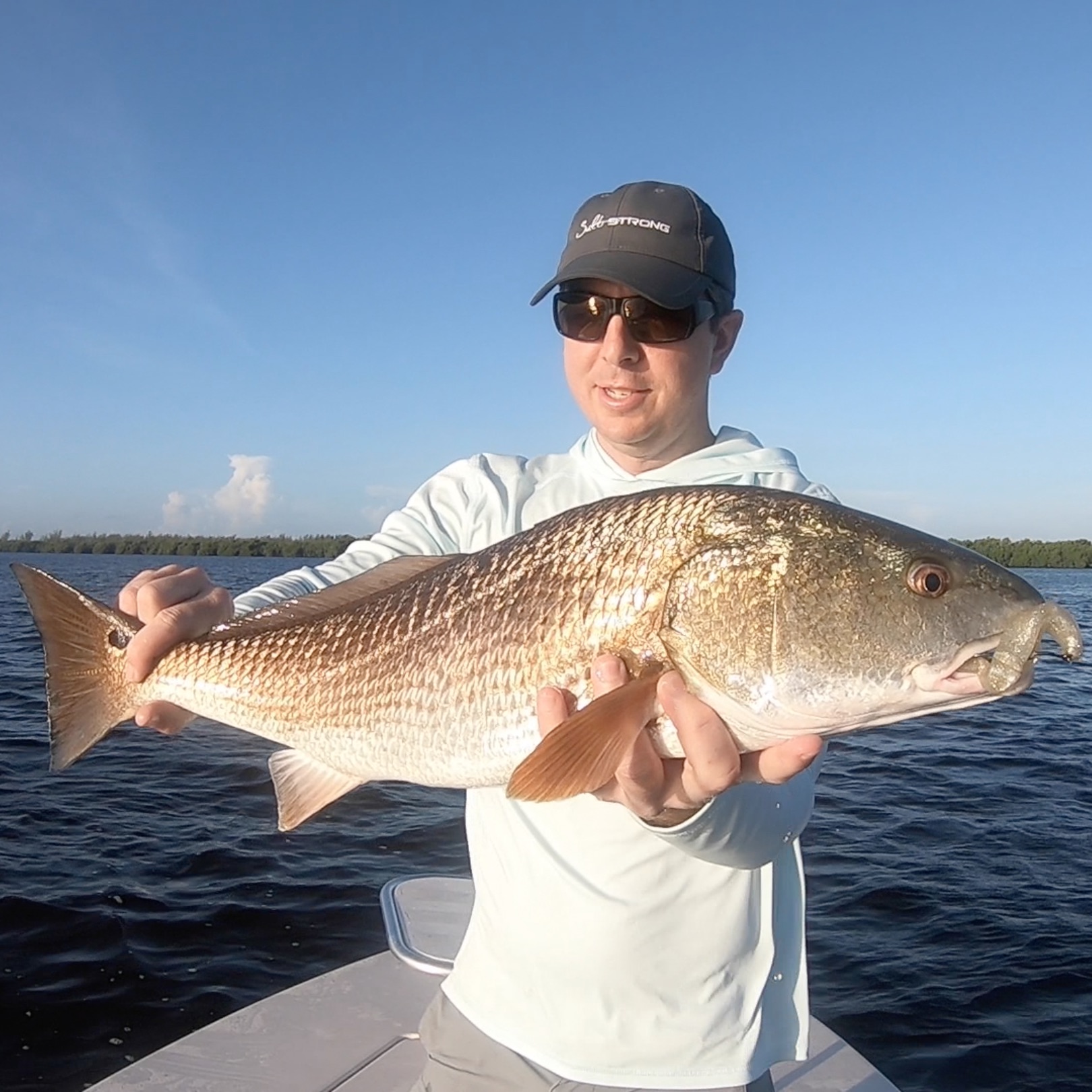 redfish on paddletail lure