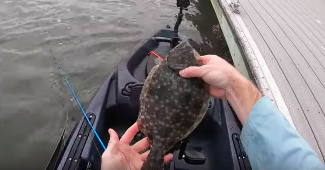 st augustine flounder