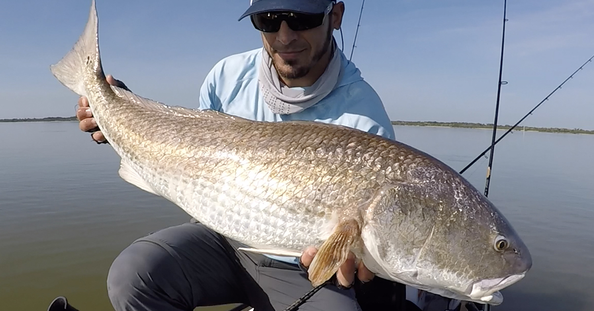 http://revive%20redfish