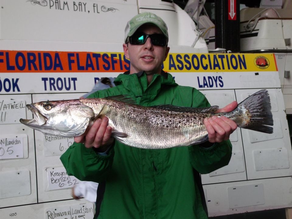 how to catch speckled trout